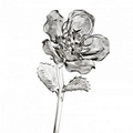 Waterford Crystal Fleurology Jeff Leatham Rose Flower